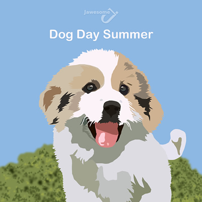Dog Day Summer Mixtape 2011 cover